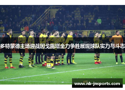 多特蒙德主场迎战因戈施塔全力争胜展现球队实力与斗志