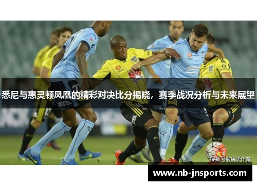 悉尼与惠灵顿凤凰的精彩对决比分揭晓，赛季战况分析与未来展望